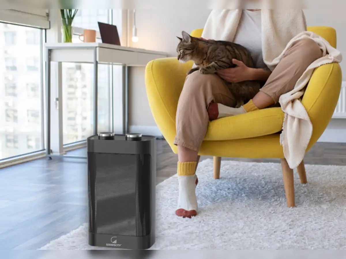 Best room heaters for home under 2000 for a winter filled with warmth - The  Economic Times