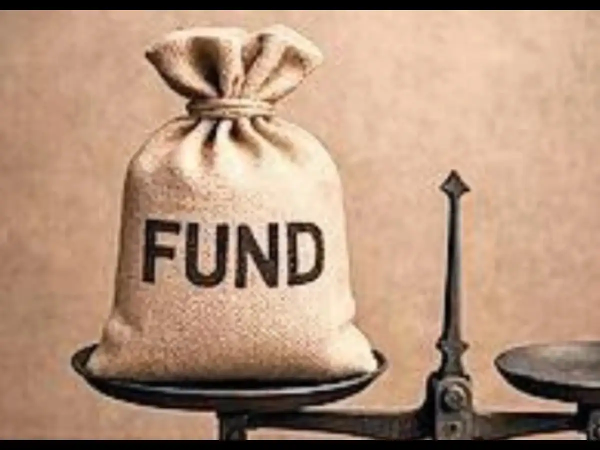 Stabilisation fund can be a shock absorber
