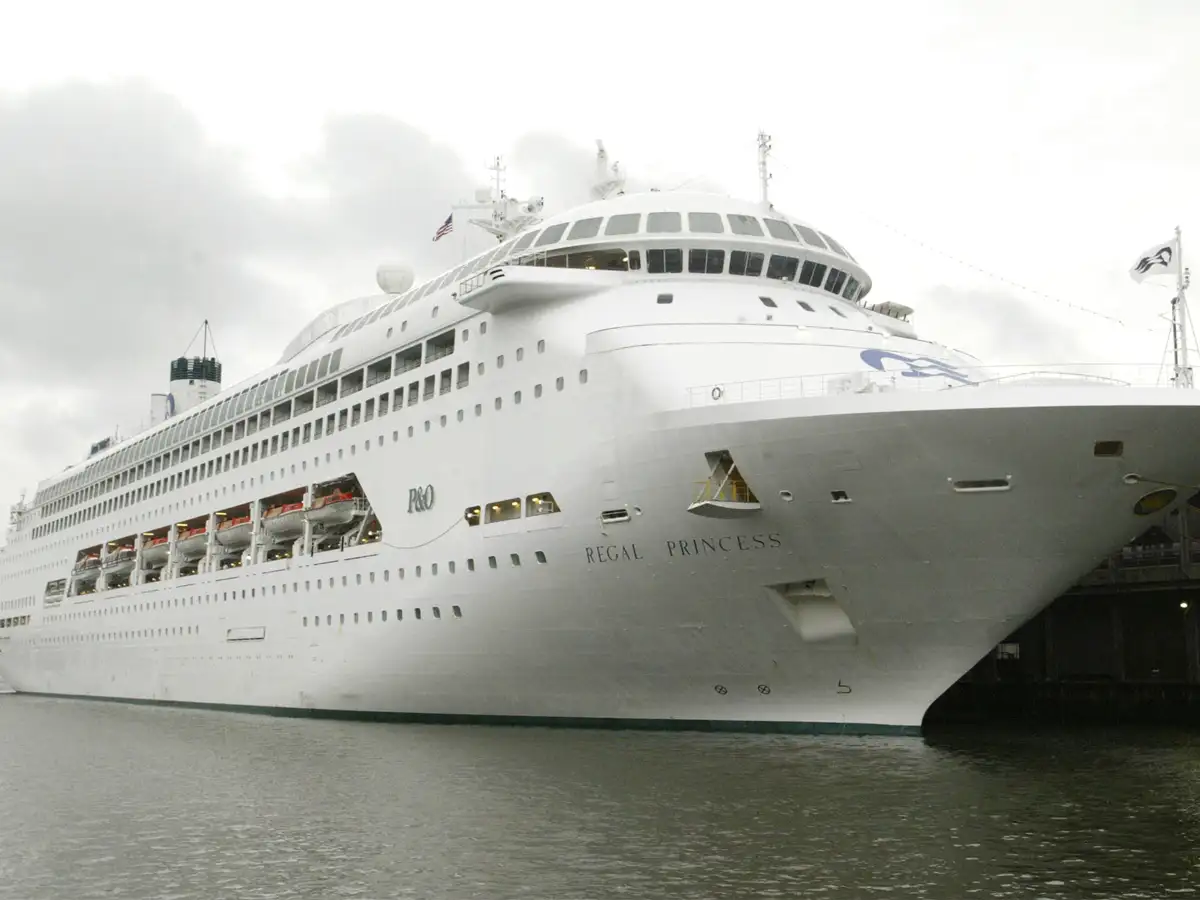 Coronavirus Hit Cruise Ship To Dock As New York Declares Emergency The Economic Times