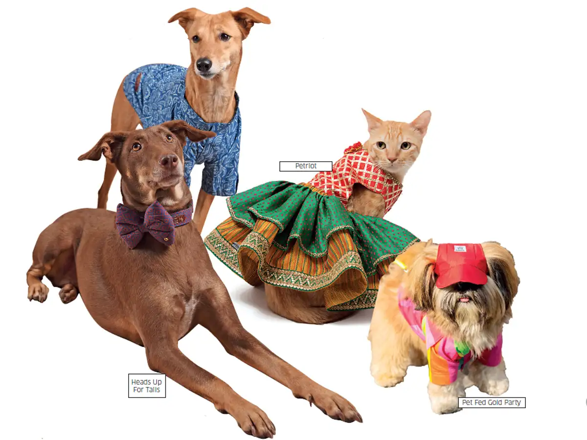 Pet Dog Market vlr.eng.br