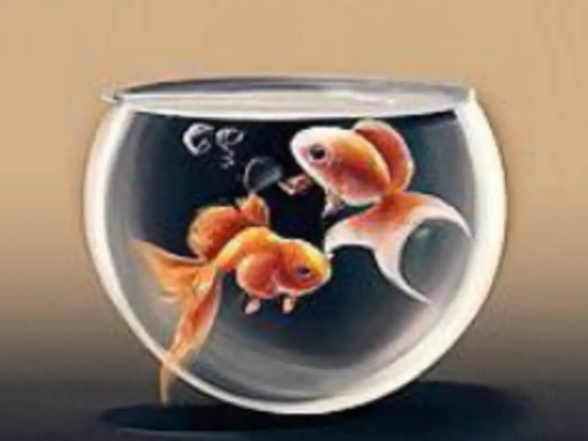 goi: Takes GoI and RBI to policy tango - The Economic Times