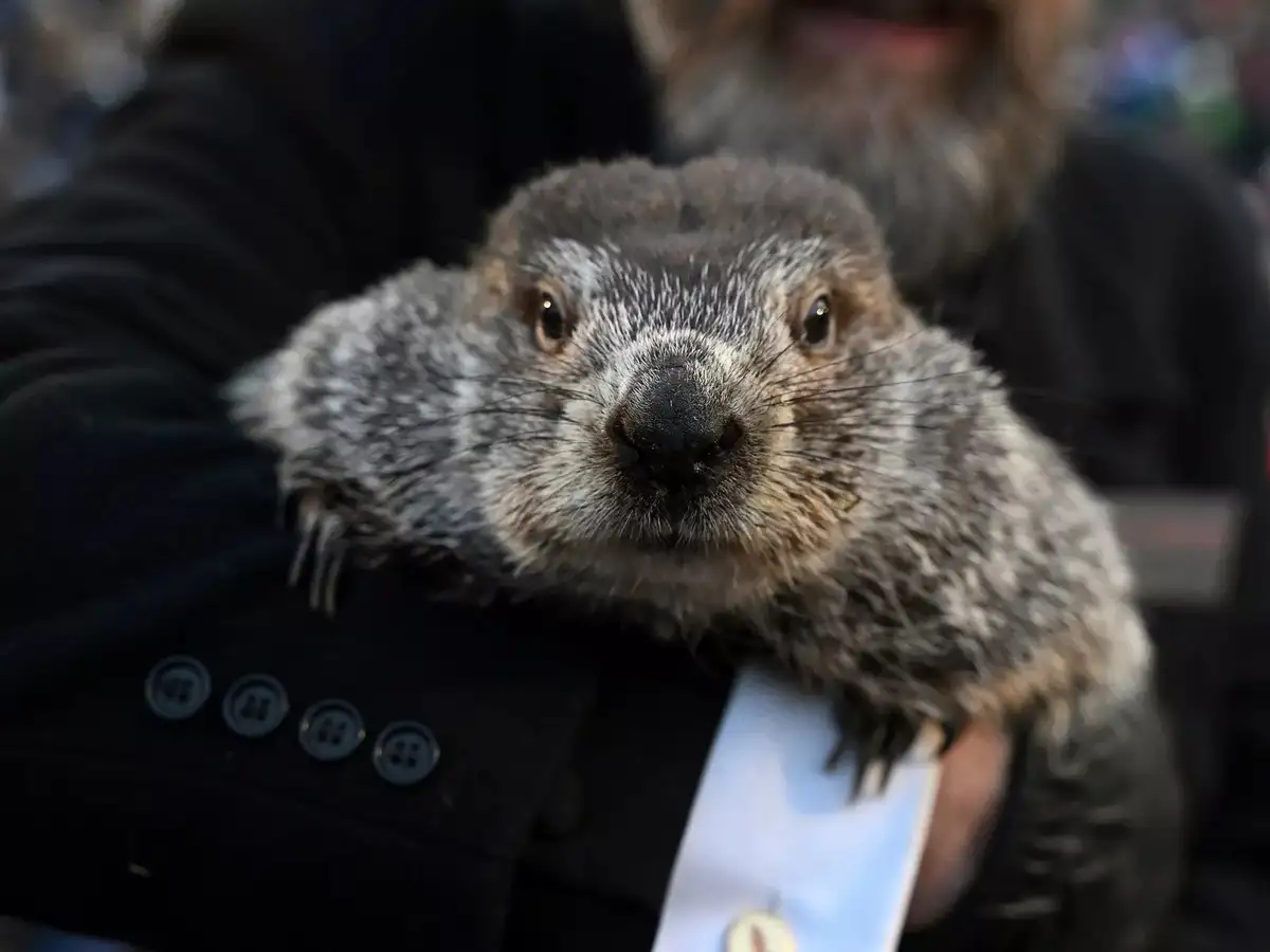 Groundhog Day 2026: Did Phil See his shadow? Punxsutawney predicting six more weeks of winter