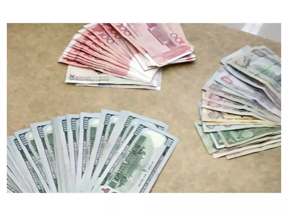 Central banks diversifying forex reserves from USD & Euro to gold and other  currencies: CareEdge - The Economic Times