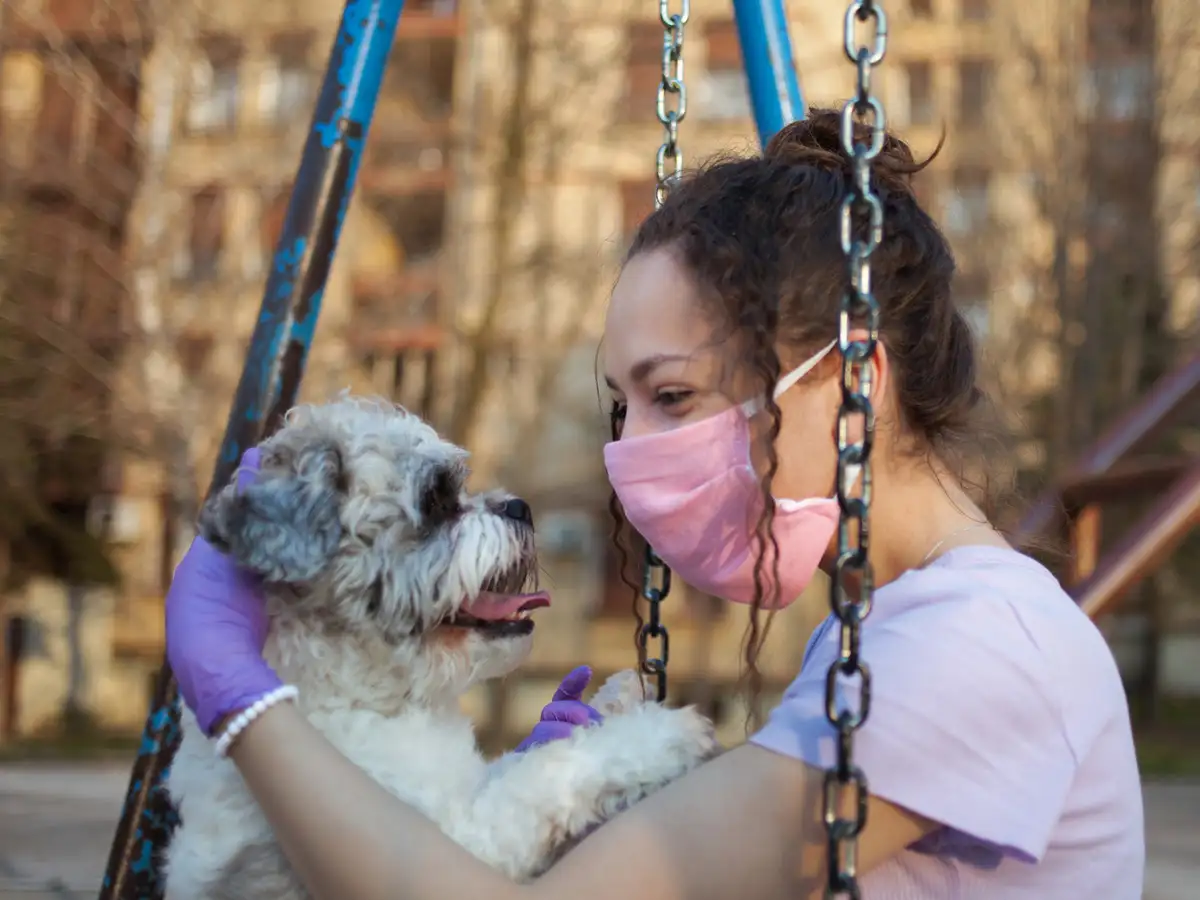 the loaded dog in telugu