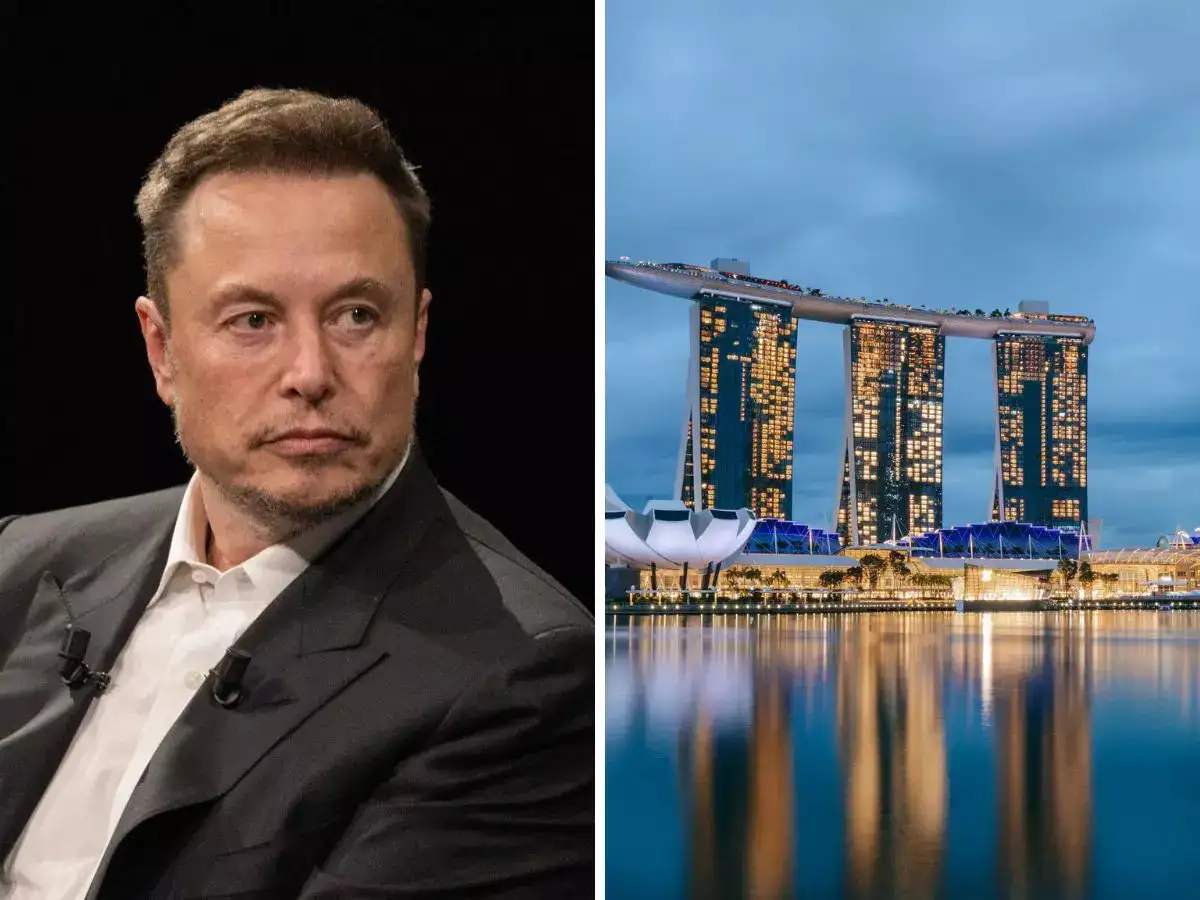 Elon Musk warns Singapore and many other countries headed towards  extinction from Earth - The Economic Times