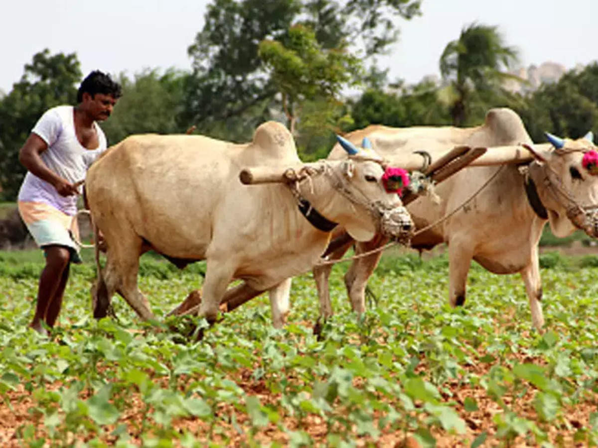 Farmer क स न क ख शह ल क ल ए इन 3 समस य ओ क न क लन ह ग हल Et Hindi