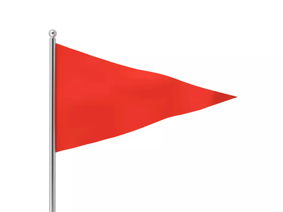 Red flag over a pink paper - The Economic Times