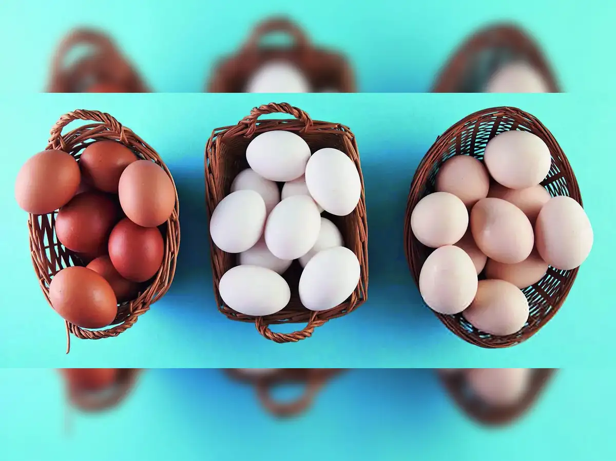 America plus one strategy: India has to diversify and build leverage in a global ecosystem of distrust