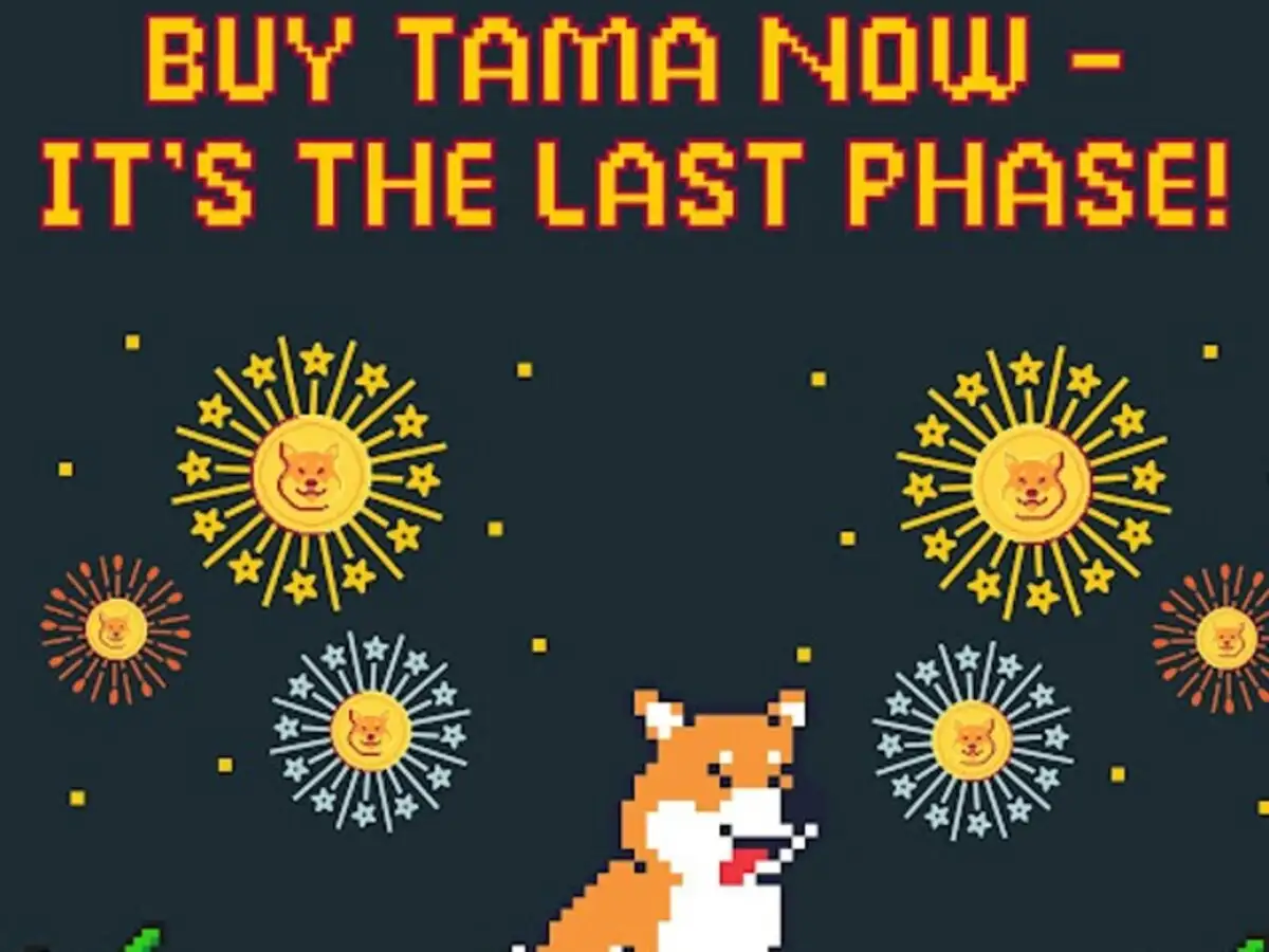 Top 5 cryptocurrency to invest in during a crypto bear market - The  Economic Times