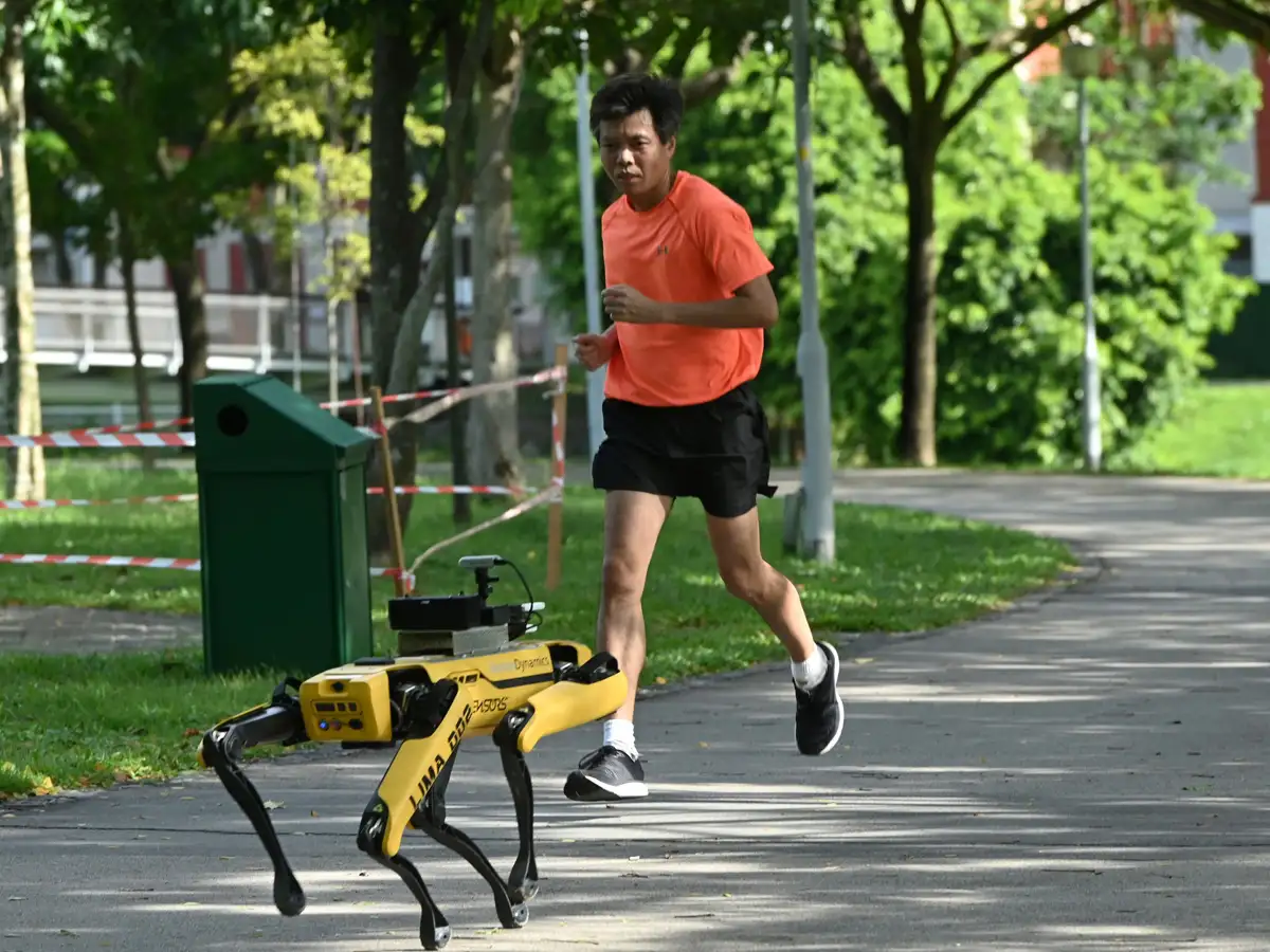 robot dog uptown funk