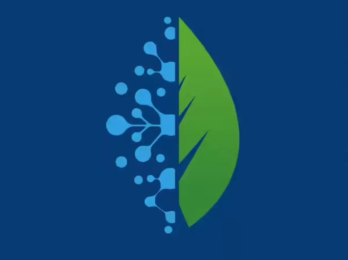 Climate-tech funding dips as VCs look for exportable solutions