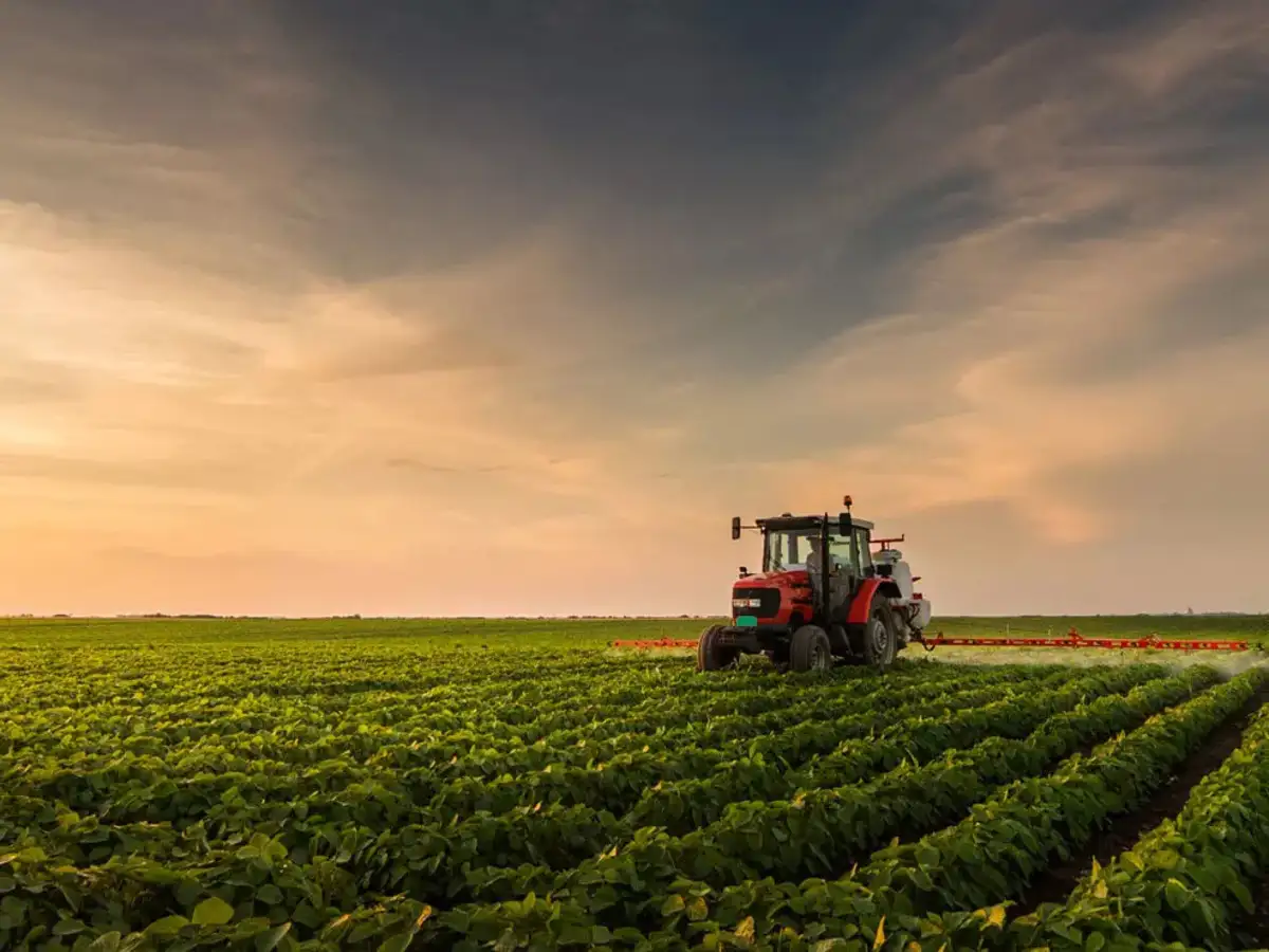 Agrichemical: India can be a star in agrochem market if the ...