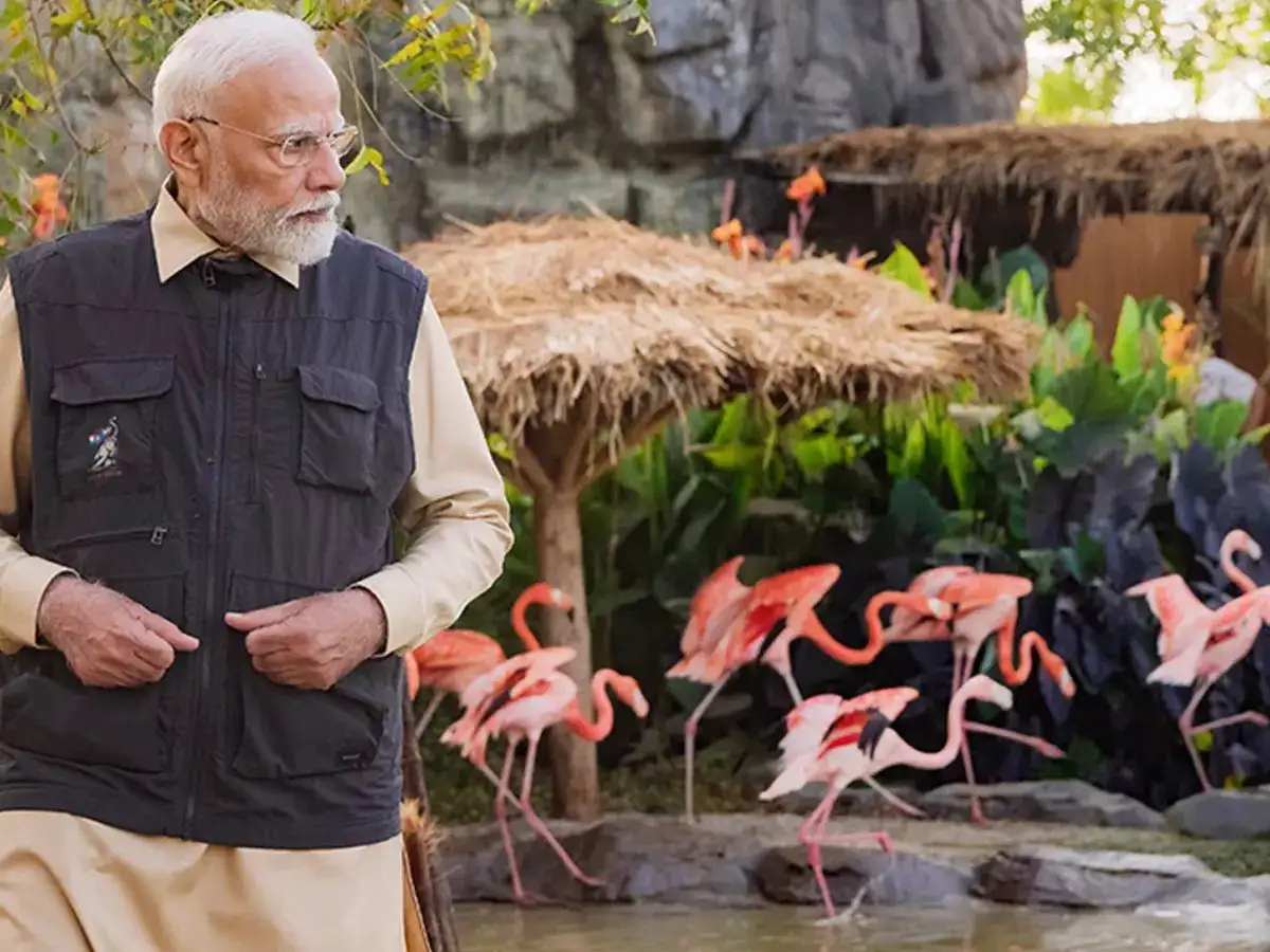 Inside Anant Ambani's Vantara: PM Narendra Modi's journey through the world's largest wildlife rescue & rehabilitation centre - The Economic Times