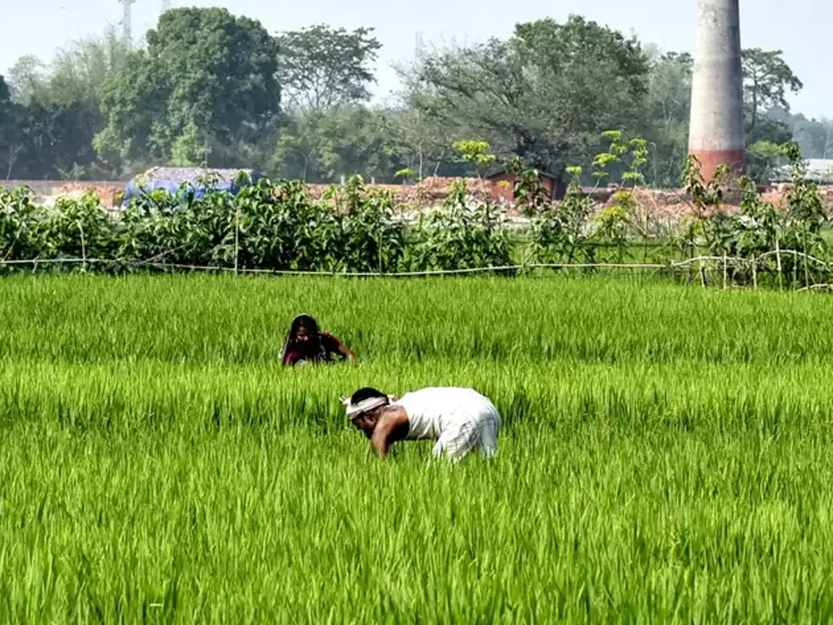 DeHaat: Agritech platform DeHaat acquires SaaS startup FarmGuide - The ...