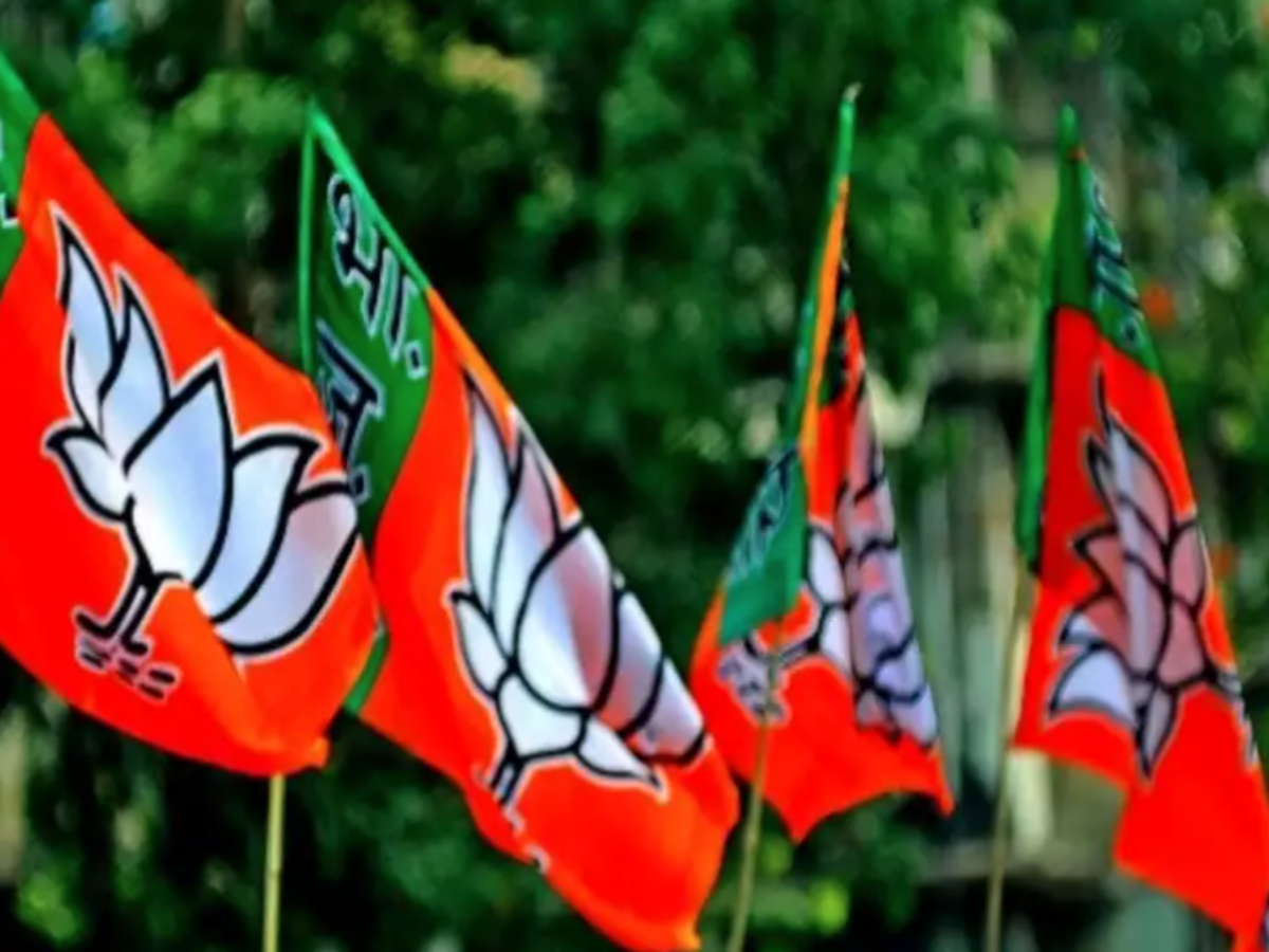 bjp: BJP decides to serve showcause notice on two dissidents - The Economic  Times