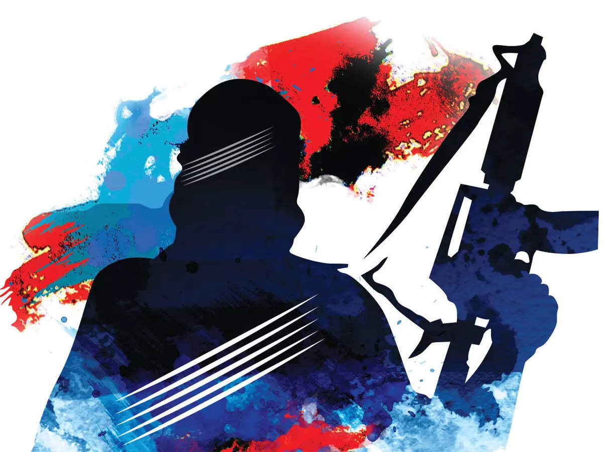 Kashmir news: Centre blocks 14 apps in Jammu and Kashmir for spreading  terror - The Economic Times