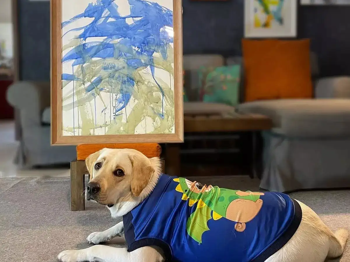 Pup da Vinci: She was tied up and left alone; 'India's First Painter Dog'  now paints to save lives - The Economic Times