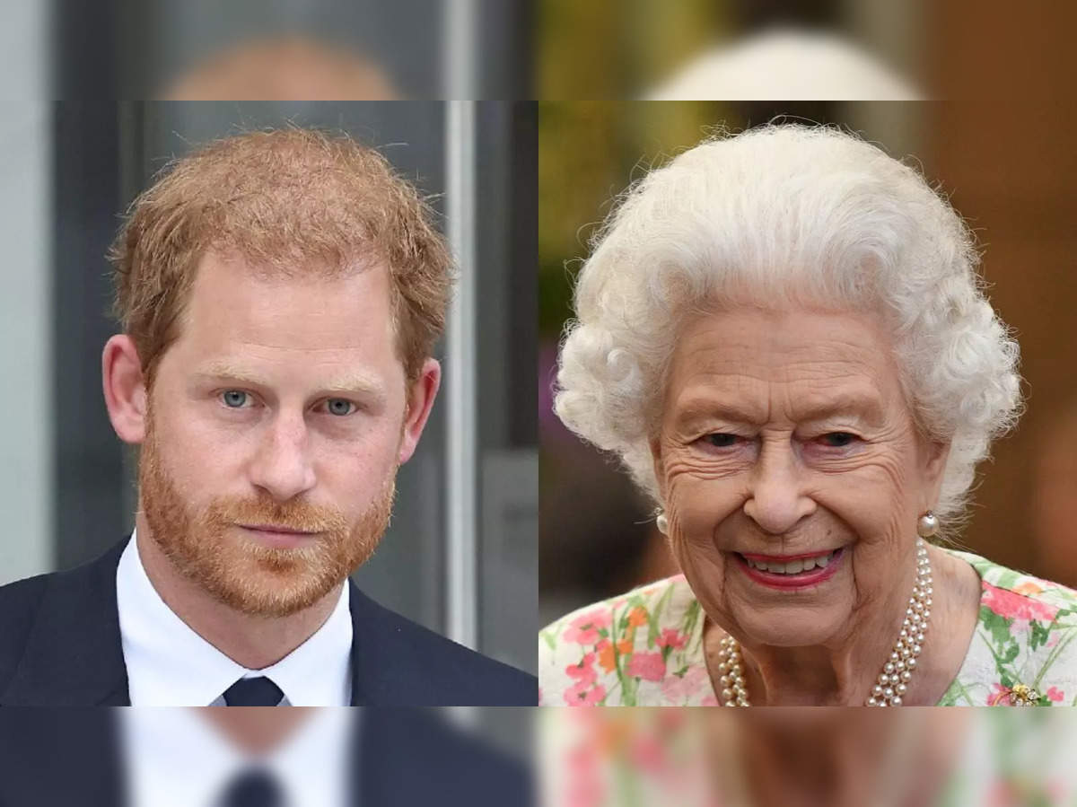 Prince Harry says it was 'great' to see grandmother Queen Elizabeth as he  shares details from visit