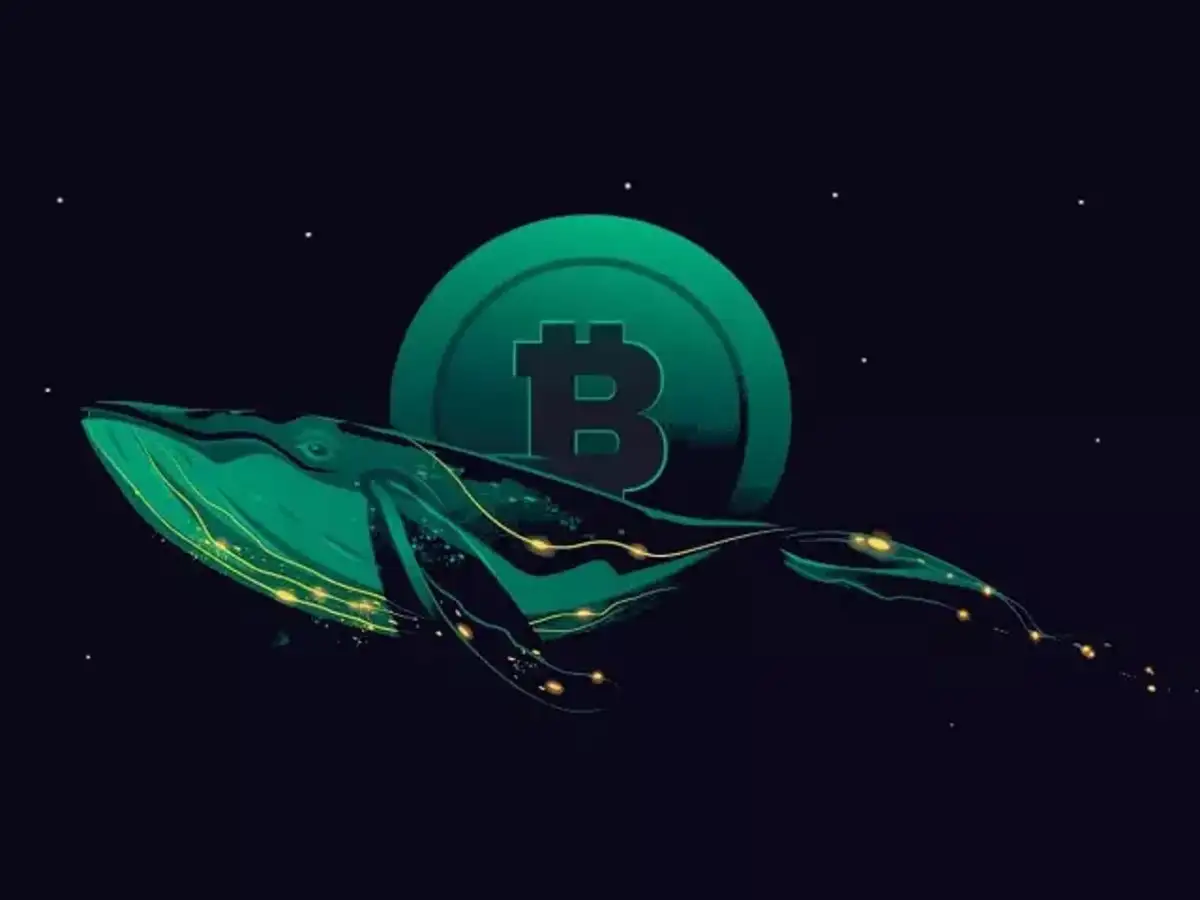 5 Best cryptocurrency that crypto whales are buying in 2022 - The Economic  Times
