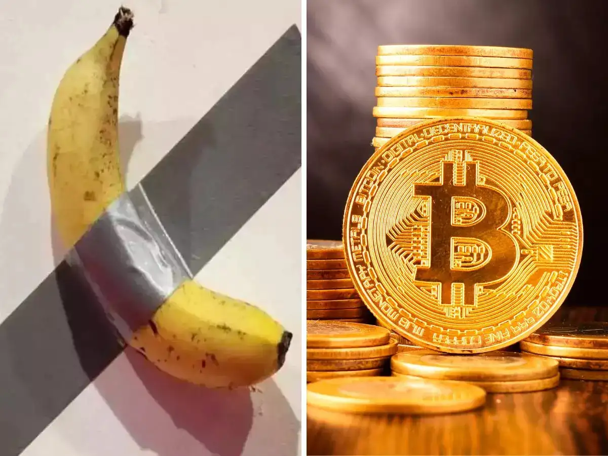 Banana artwork worth Rs 52 crores eaten by crypto boss just to prove a  point - The Economic Times