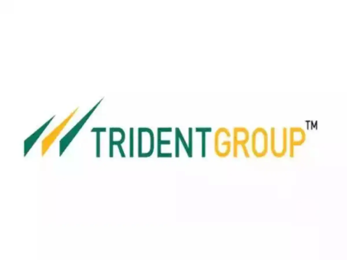 Trident Group earmarks Rs 1,000 cr capex for FY26 on sustainability,  modernisation - The Economic Times
