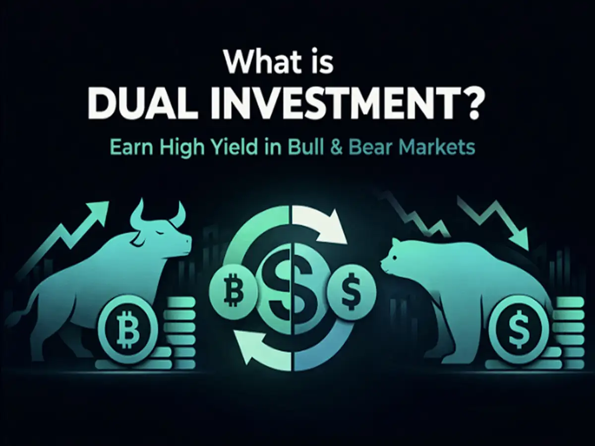 What is dual investment? High yield opportunities in bull &amp; bear markets