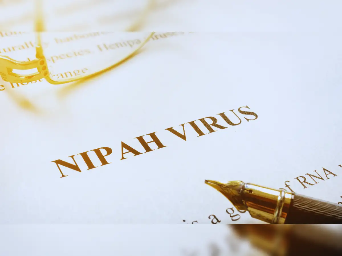 China starts screening of travellers at airports over fears of Nipah virus