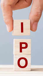 IPO market lull to end after 80 days. Key things to know about upcoming issue