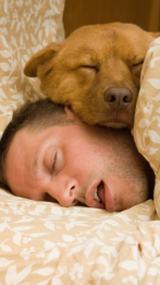 Snoring? Here is what you need to know