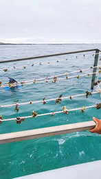 Coral replanting: New method to restore fragile ecosystem