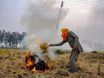 Stubble burning continues in Punjab