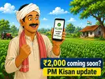 PM Kisan 23rd instalment: When will farmers receive the next ₹2,000 payment?