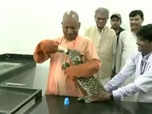 Watch: CM Yogi feeds leopard cubs