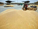 India calls out the West on Wheat price rise