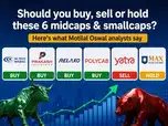 Motilal Oswal&rsquo;s buy-sell-hold call: 6 midcap & smallcap stocks to watch