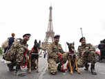 India's K9 squads at Paris for security during Olympics 2024: Pictures and deets inside