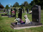 UK pet owners face grim choices amid soaring costs