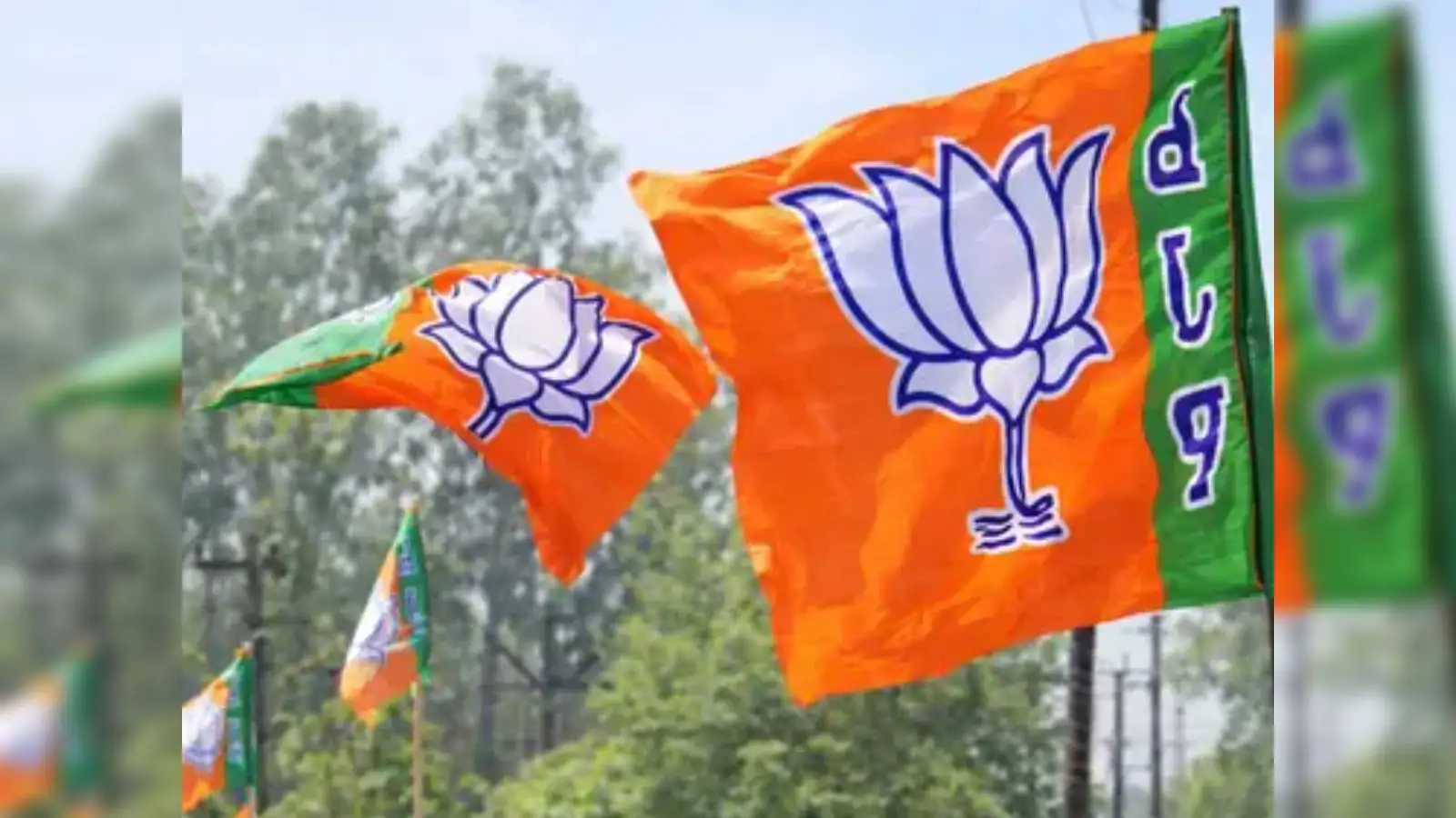 BJP manifesto calls Tamil Nadu under DMK a ‘crime capital’