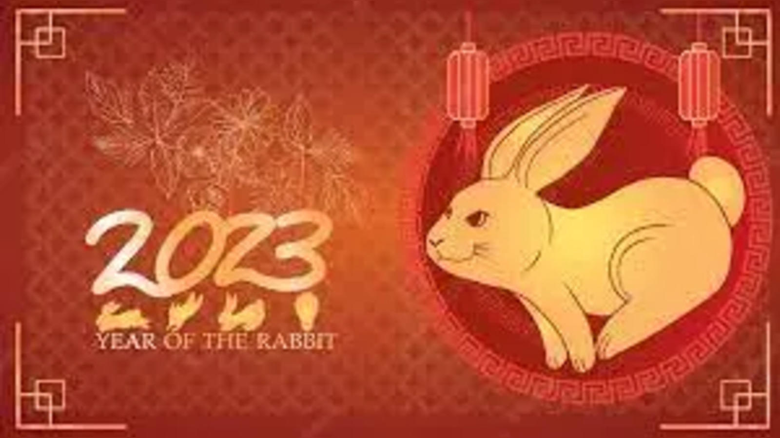 Lunar New Year: It's the Year of the Rabbit and, finally, we can