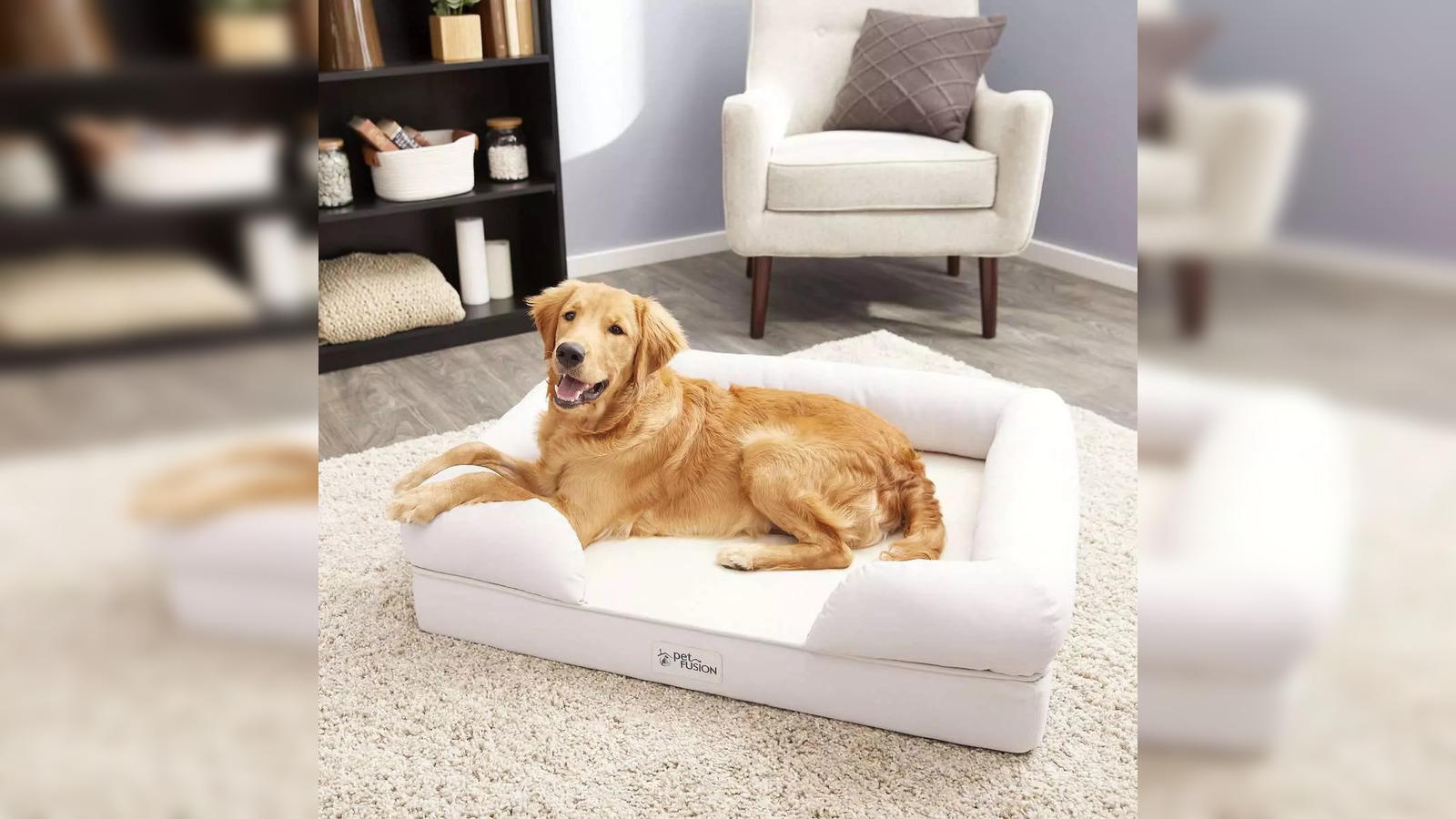 https://img.etimg.com/thumb/width-1600,height-900,imgsize-112268,resizemode-75,msid-99844359/top-trending-products/pets/best-dog-bed-for-maximum-comfort-and-support-for-your-furry-friend.jpg