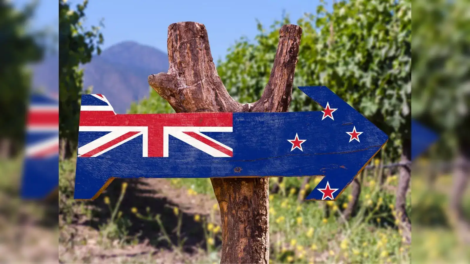 New Zealand eases health insurance rules for Peak Seasonal Visa from April 19