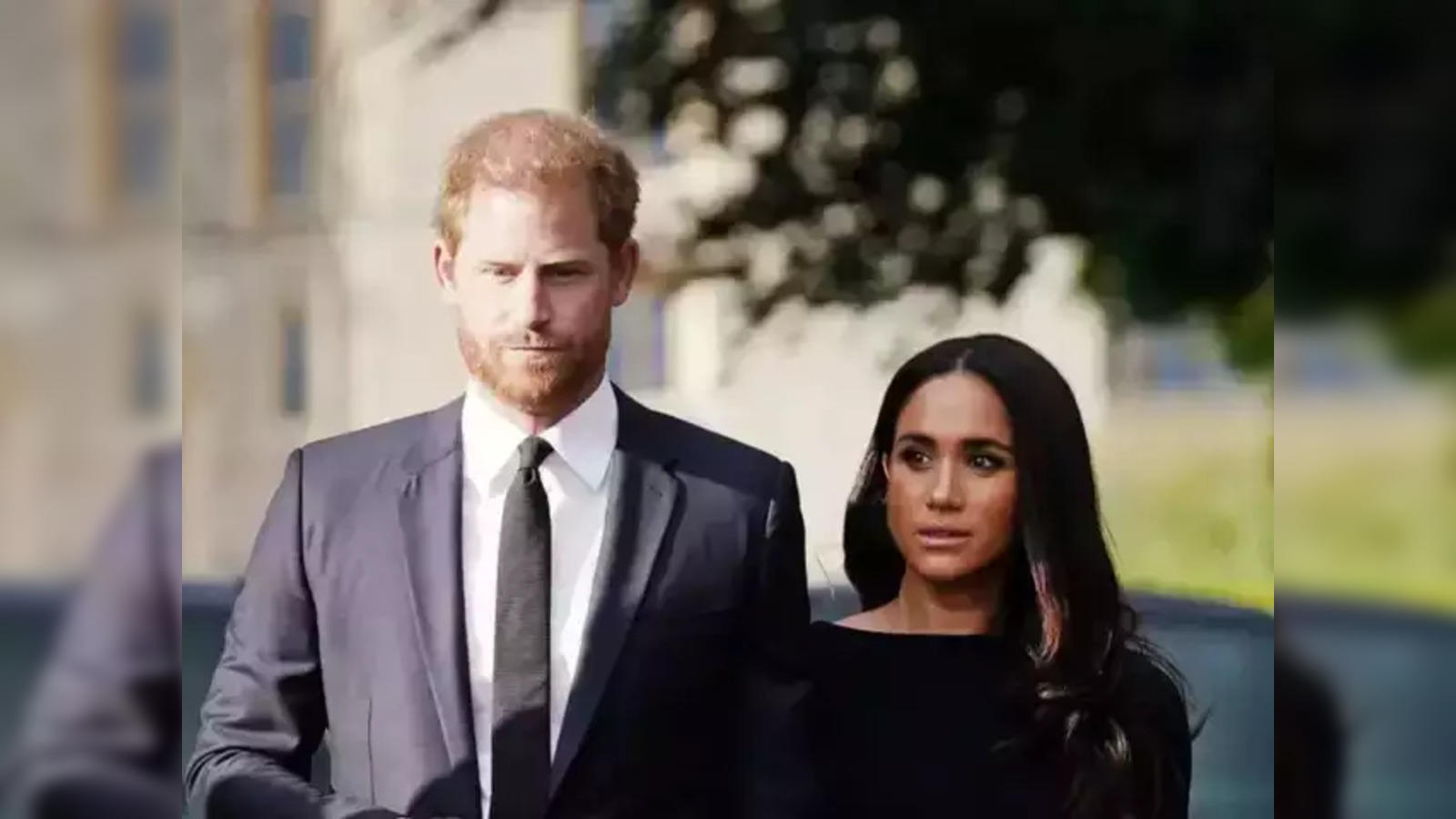 harry: Prince Harry and Meghan Markle want to keep their royal ties for  financial gain - The Economic Times