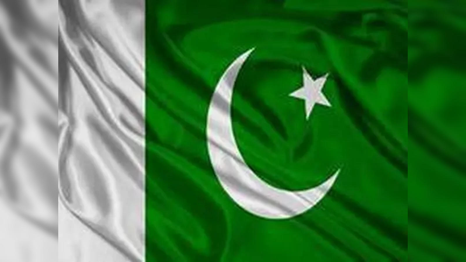 Girl Wears Pakistani Flag Wallpapers DreamLoveWallpapers Desktop Background