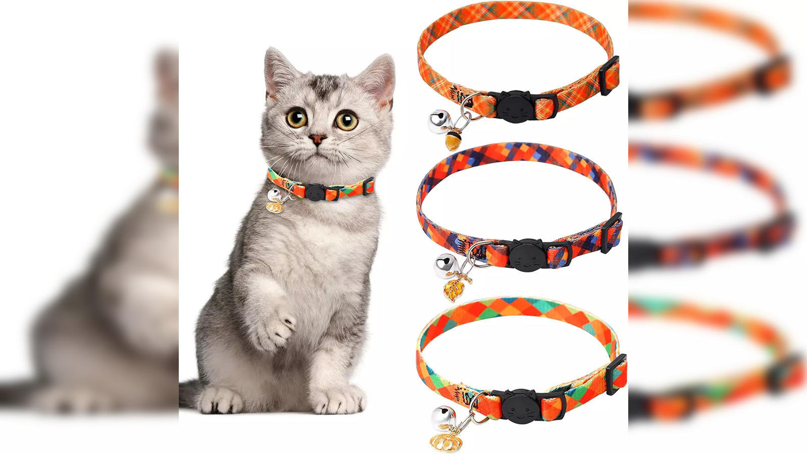 Cat collar: Best cat collars for your furry friend - Comfort