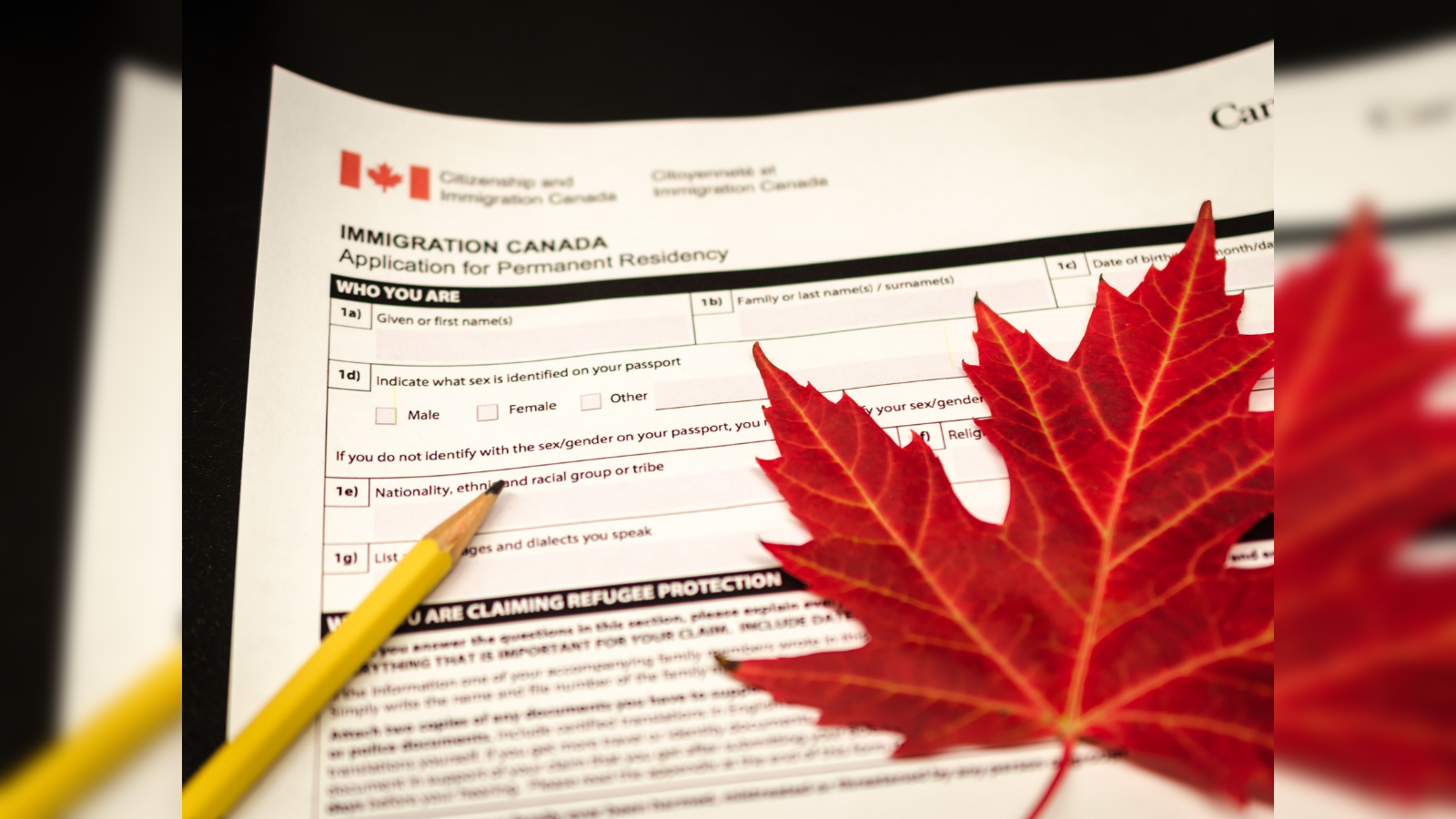 Canada Immigration Express Entry Program - Canadian Immigration Consultant  | Patel Canada Visa