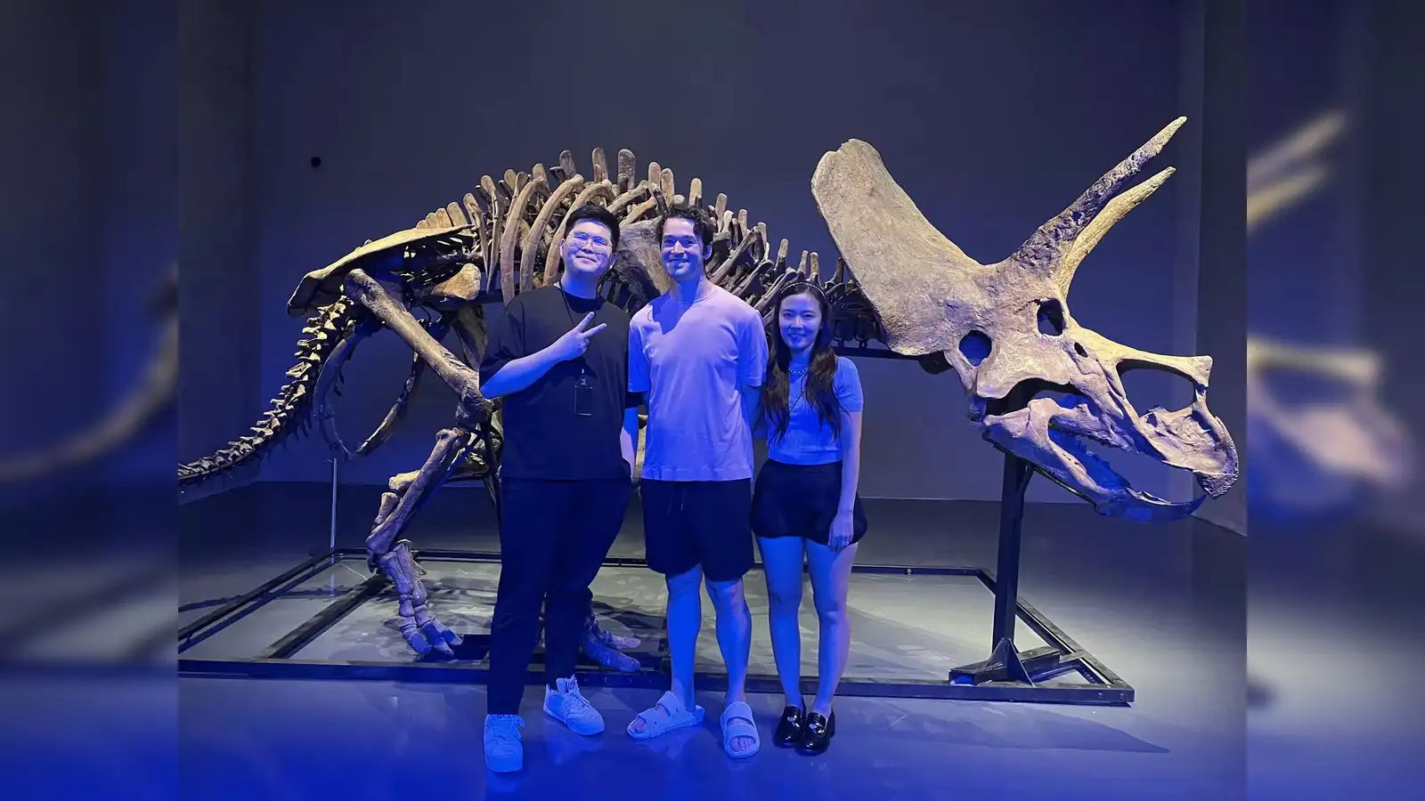 Crypto elite shun NFTs to bet on 69-million-year-old dinosaur fossils - The  Economic Times