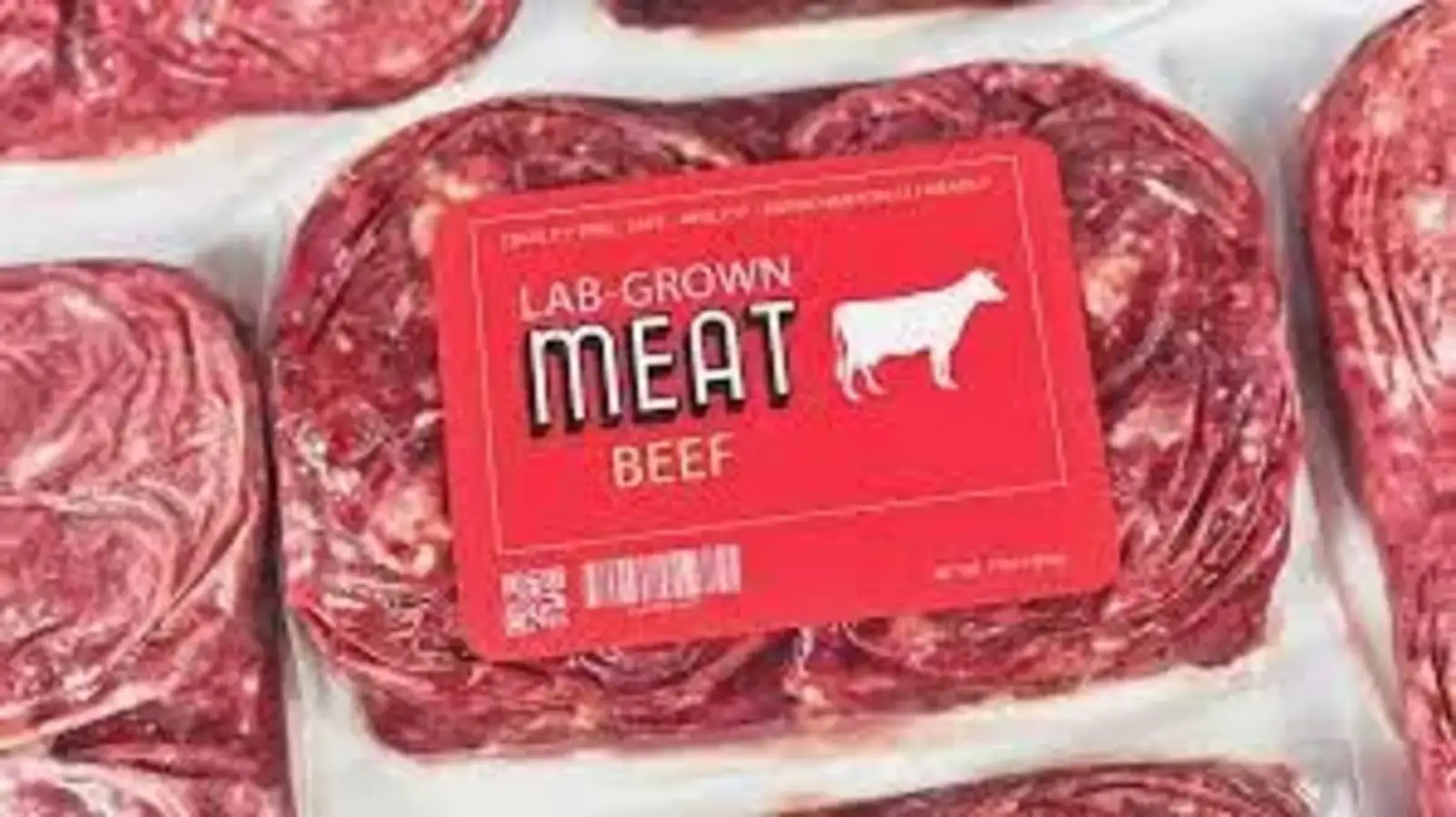 Fda Lab Meat: Revolutionizing Food with Safe Innovation