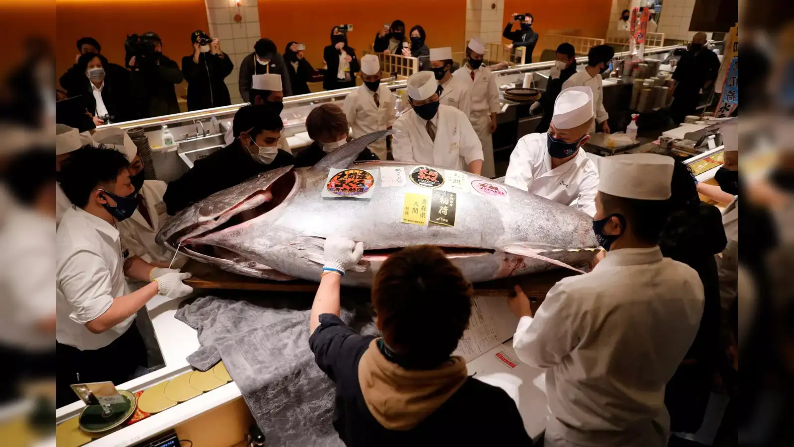 211-kilogram-bluefin-tuna-