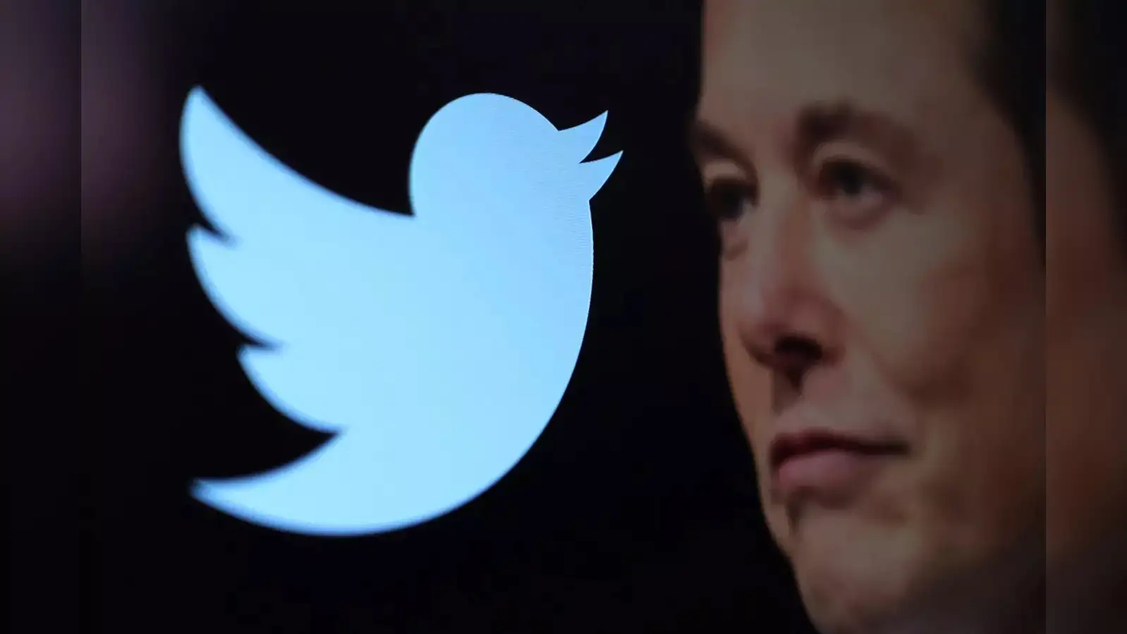 Elon Musk indicates Twitter can soon expand or kill 280-character limit -  The Economic Times