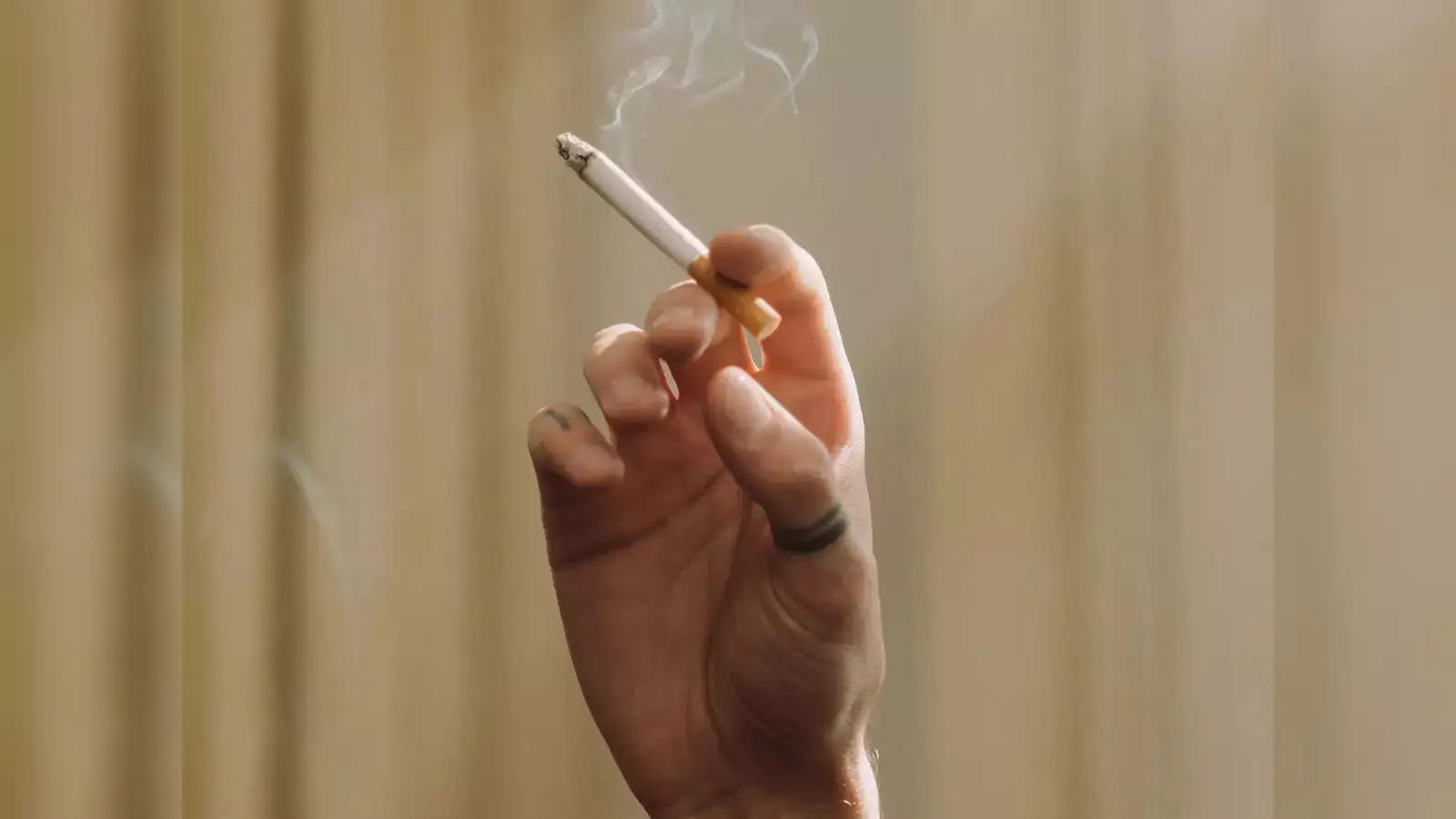top rated tobacco near me THE BEST 10 Tobacco Shops in MIAMI, FL - Updated 2026 - Hours